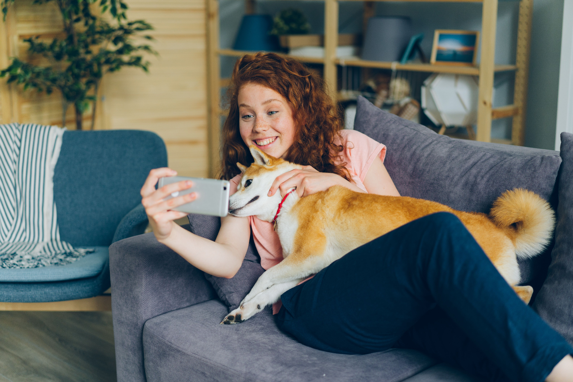A person on a video call with a vet while relaxing on the sofa with their dog