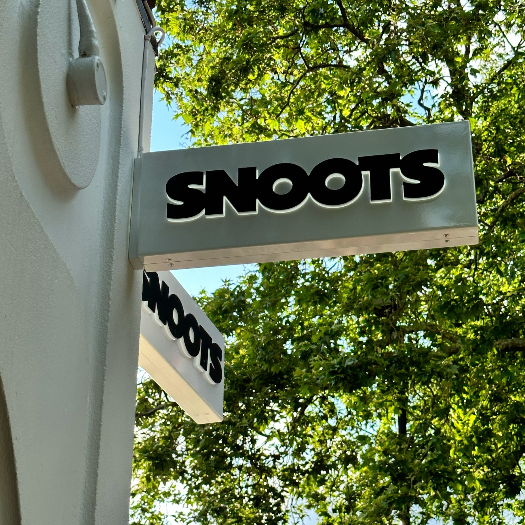 The Snoots veterinary team in their London clinic