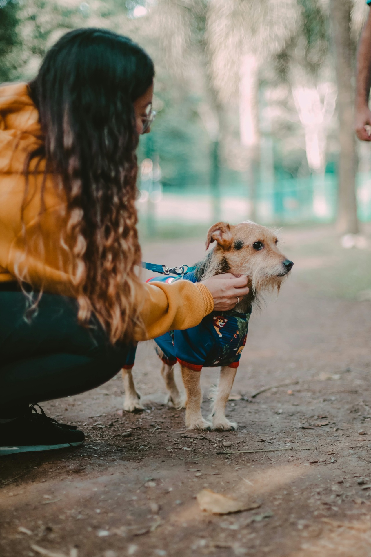 Older pet with calm, well-loved energy